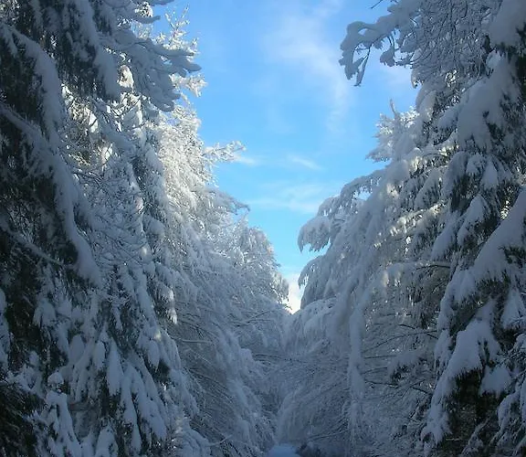 Landhaus Riedl * Шарниц